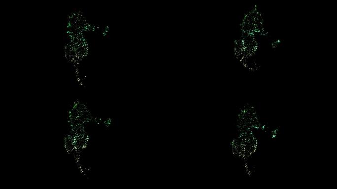发光的绿色海马在完整的黑色海洋中缓慢游泳的插图