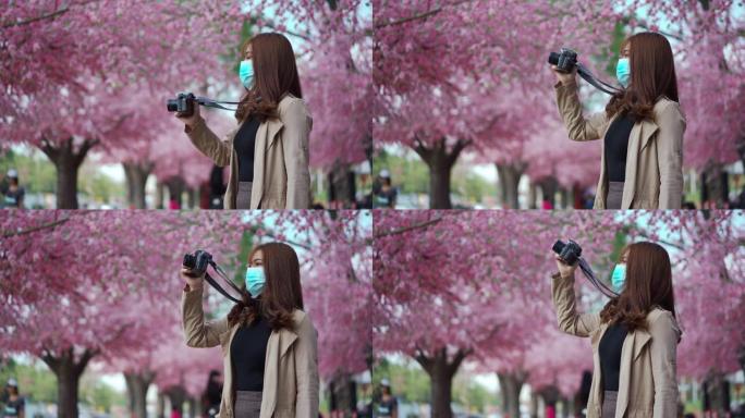少妇旅人戴口罩，拍樱花或樱花在公园盛开的照片