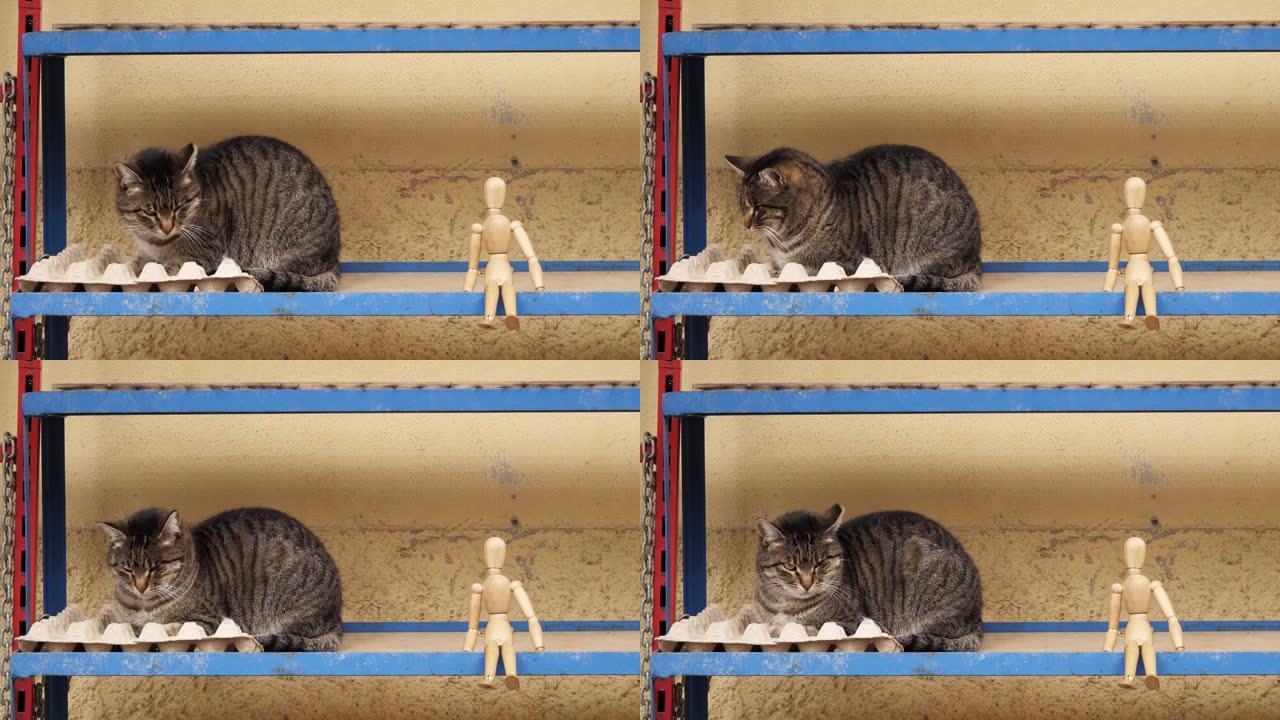 站在猫旁边的人体模型