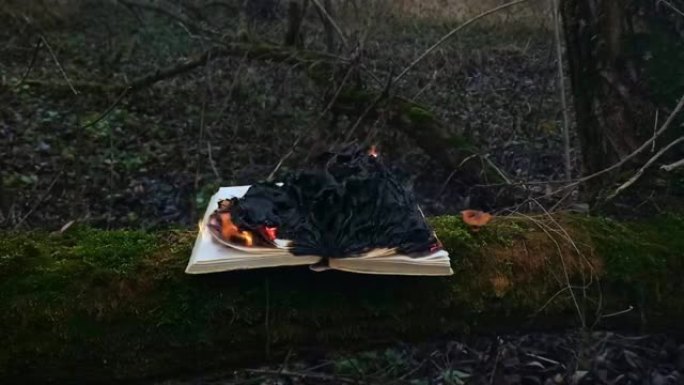 在森林里烧书。打开的书里有文字的书页用明亮的真实火焰燃烧。人们不喜欢阅读。智力问题。