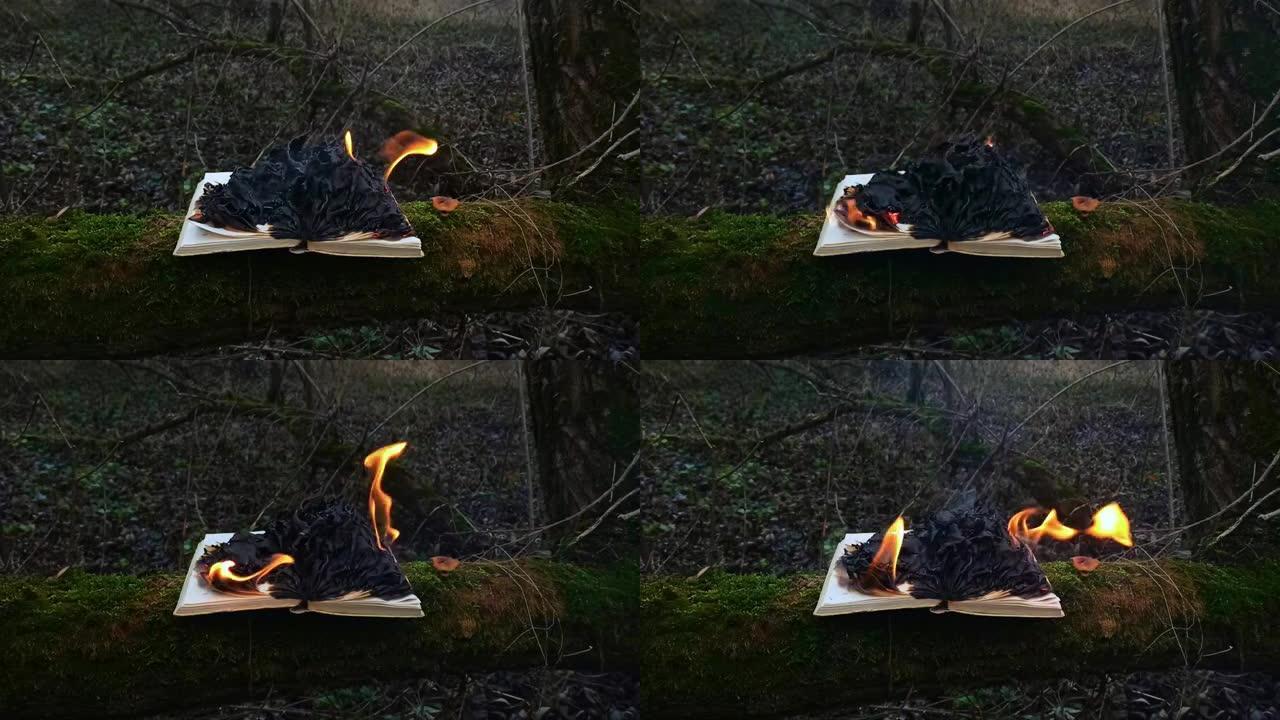 在森林里烧书。打开的书里有文字的书页用明亮的真实火焰燃烧。人们不喜欢阅读。智力问题。