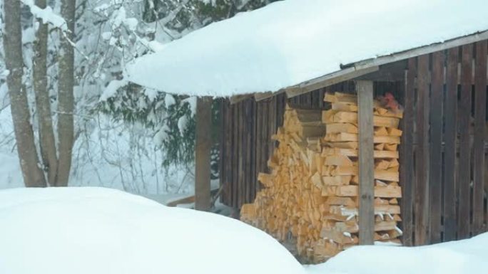 冬天下的雪