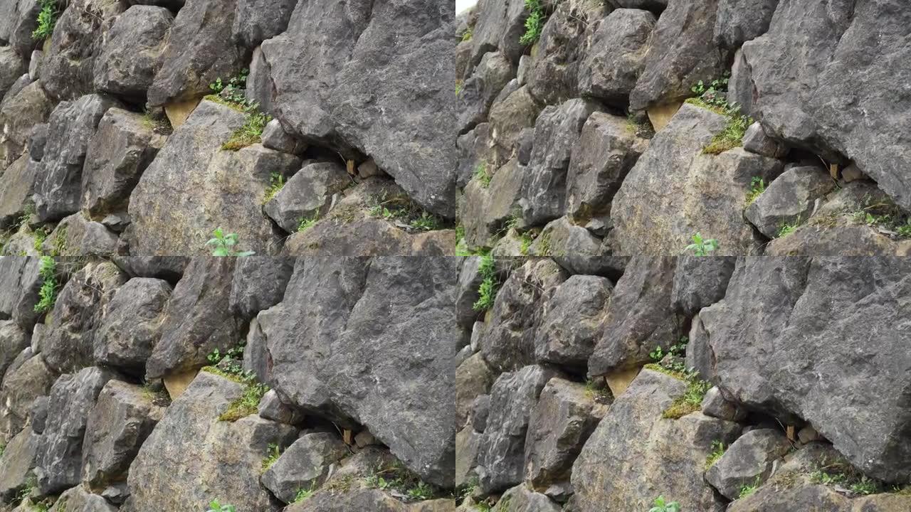 青苔青草天然巨石石墙