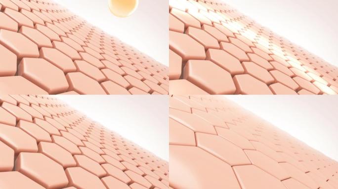 黄金血清滴入皮肤细胞，然后变成紧致健康的皮肤。护肤概念。3d动画。