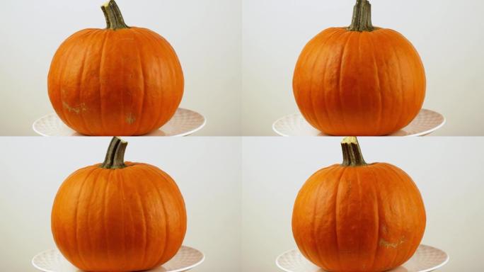 Halloween pumpkin with on a white background rotat