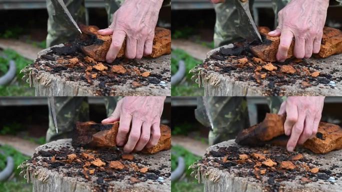男人的双手用斧头清洁chaga蘑菇桦木真菌在新鲜空气中。一步一步