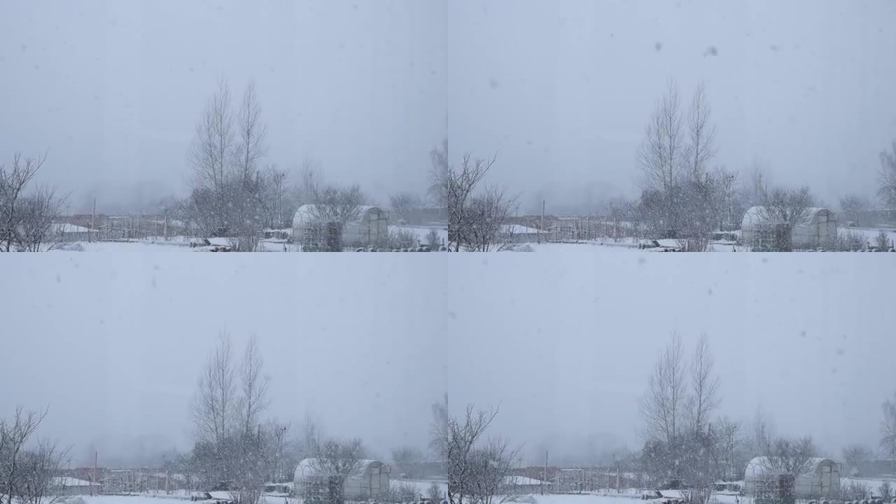 冬季大雪中的乡村景观
