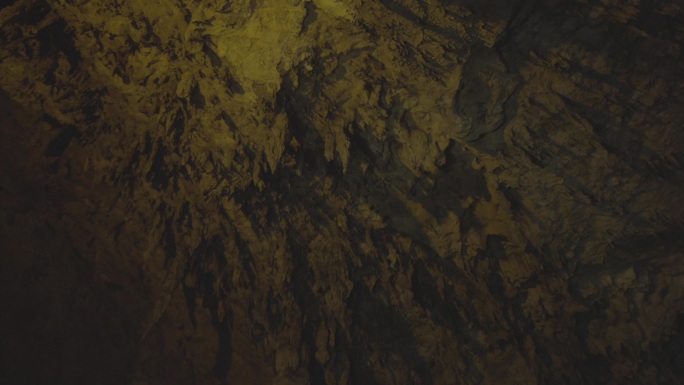 M1山洞中的蝙蝠