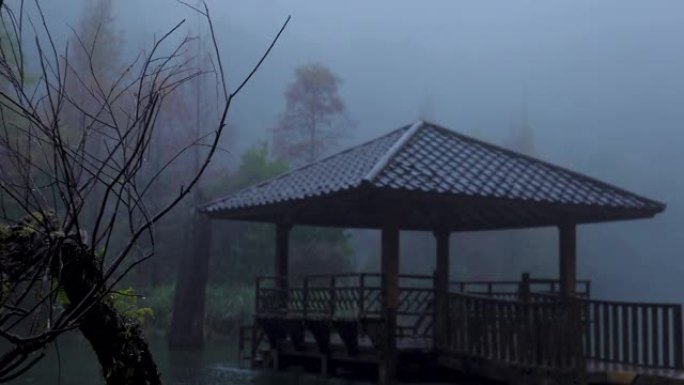 台湾，依兰县，森林，游憩区，雨天，明池