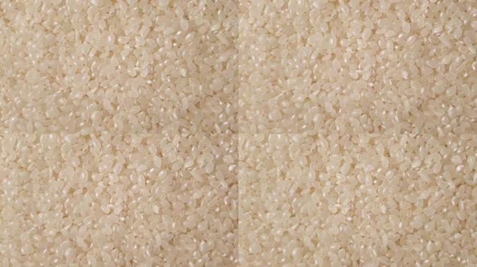 亚洲白未煮过的米饭特写向右移的宏模板。新鲜食品营养健康理念