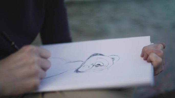 女人正在用浣熊的铅笔素描画画。艺术家正在做一个项目