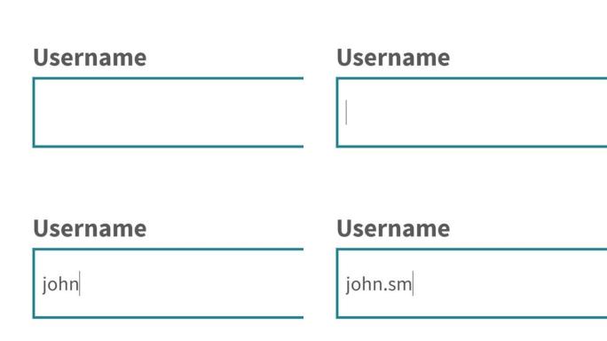 在空框中输入用户名。在在线网络网站中输入用户名。在计算机软件程序上与用户一起登录万维网Interne