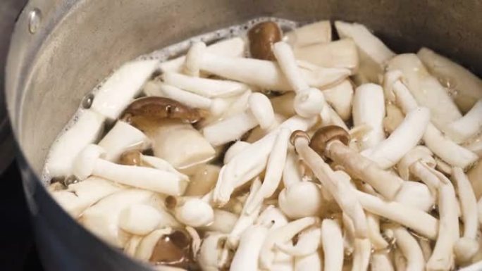 Tom Yum制作泰国传统食物。蘑菇落在满满一壶水里。有人放进去的。王蚝、凤凰菇、肺蚝