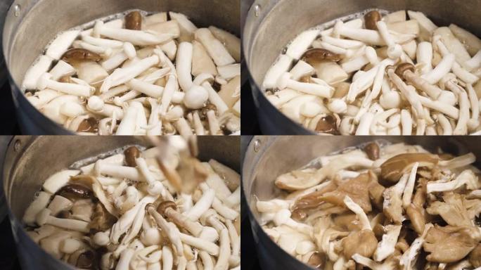 Tom Yum制作泰国传统食物。蘑菇落在满满一壶水里。有人放进去的。王蚝、凤凰菇、肺蚝