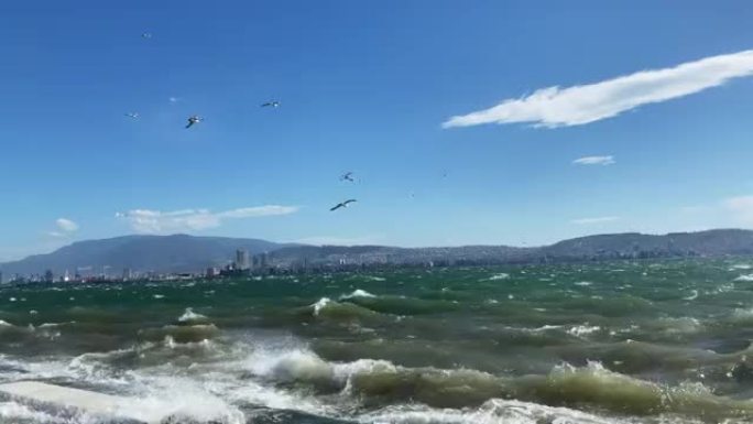 风雨如磐的爱琴海