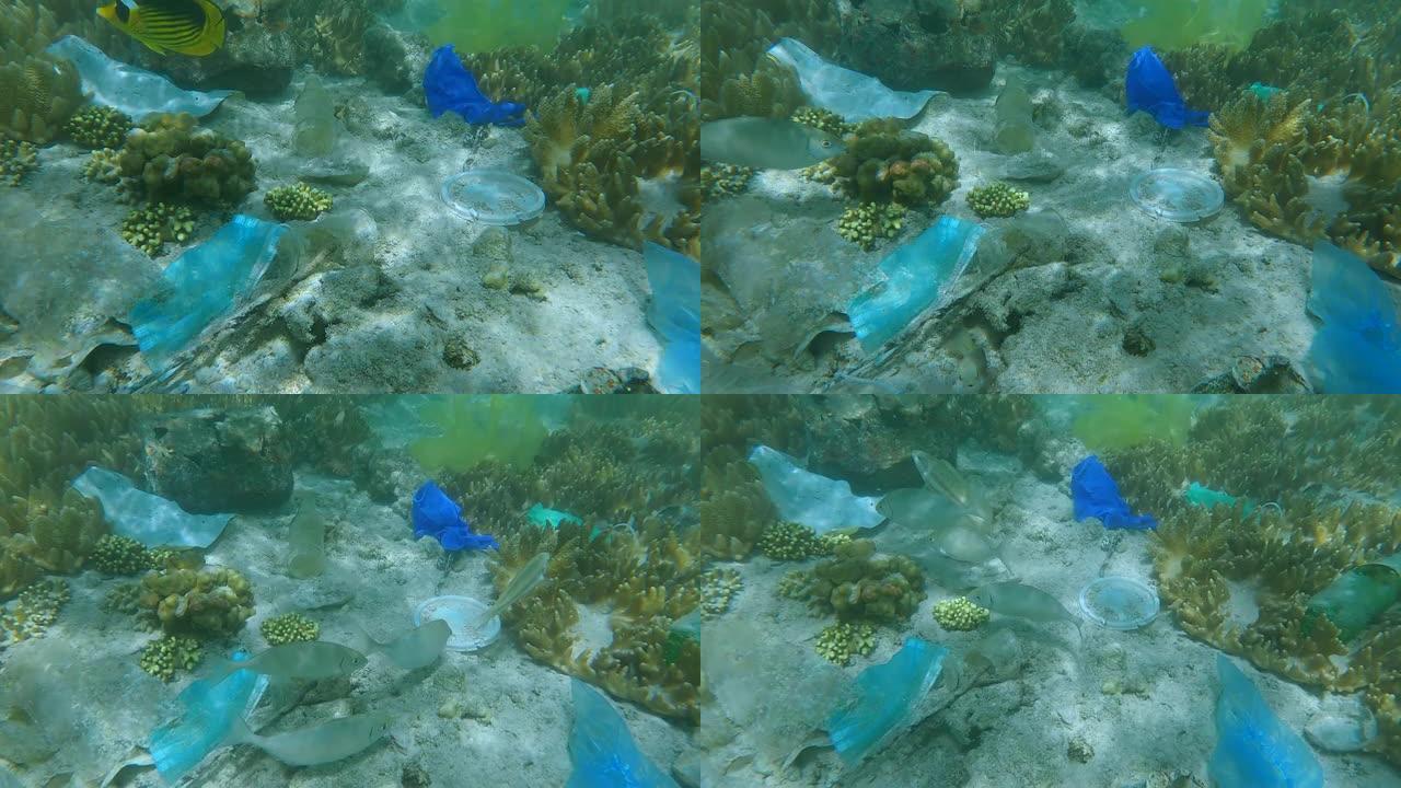 热带彩鱼在塑料和其他碎屑之间的珊瑚礁上吃草。珊瑚海底的面罩、塑料和其他碎片。海洋的塑料污染