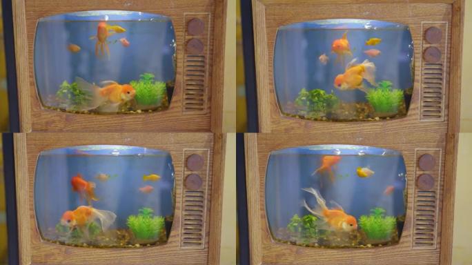 以电视形式制成的水族馆，里面有金鱼。