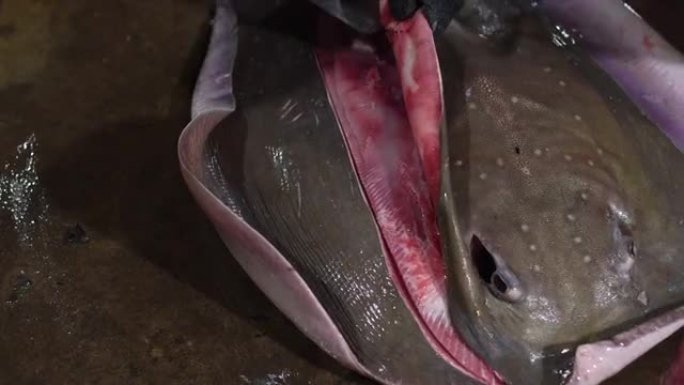 一名渔夫在鱼市场上用锋利的刀将斑点的黄貂鱼切成碎片