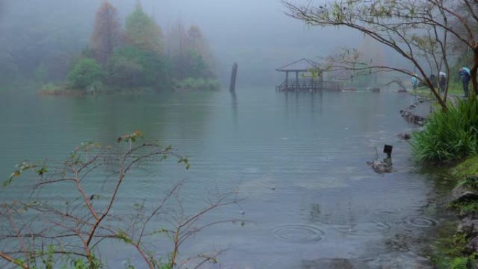 台湾，依兰县，森林，游憩区，雨天，明池