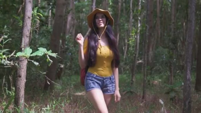 夏天的下午，年轻女子徒步穿越森林的视频。