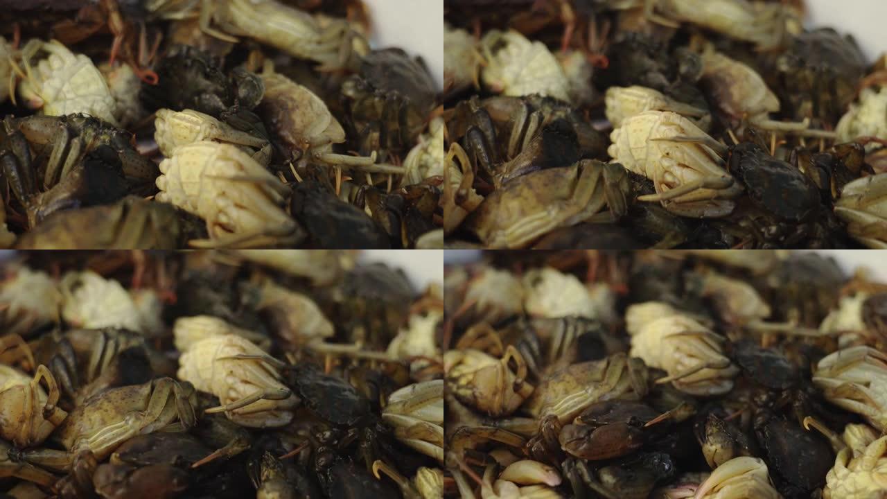 大量美味的新鲜生螃蟹躺在容器中
