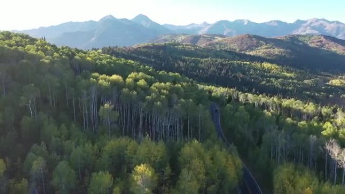 秋山公路空中环绕白杨森林