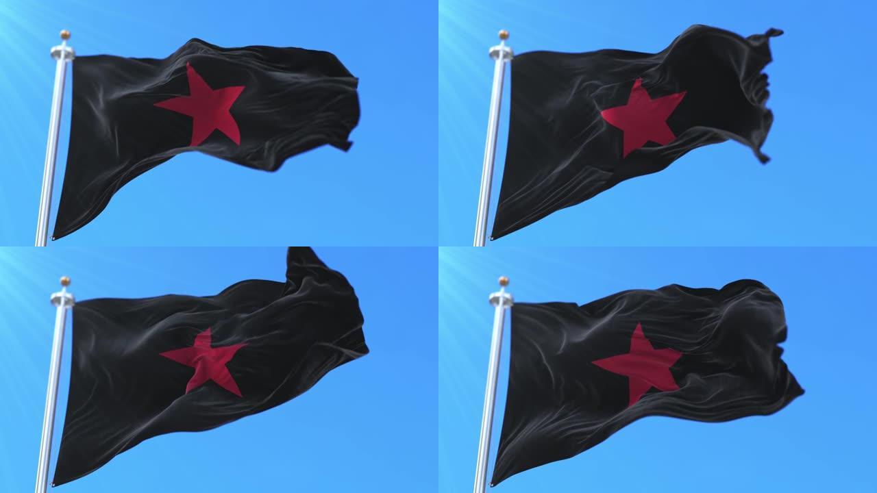 萨帕斯塔民族解放军的旗帜，迎风飘扬，缓缓飘扬。循环