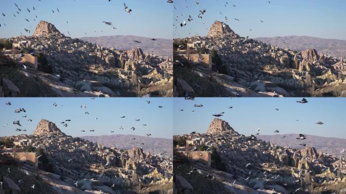 慢动作鸽子群飞越卡帕多西亚Uchisar