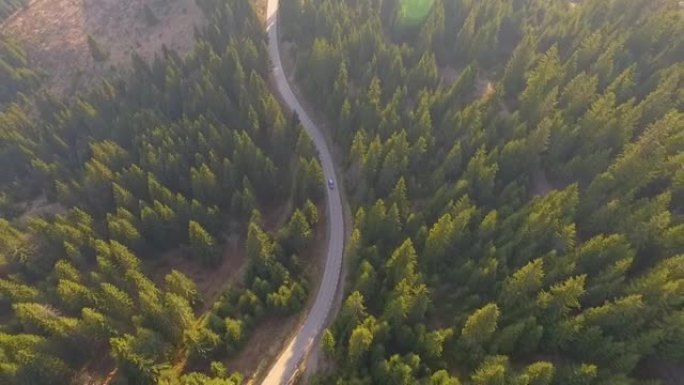 鸟瞰图飞越旧的两条车道的森林道路，汽车移动的绿色树木茂密的树林两边生长。沿着林道行驶的汽车。空中: 