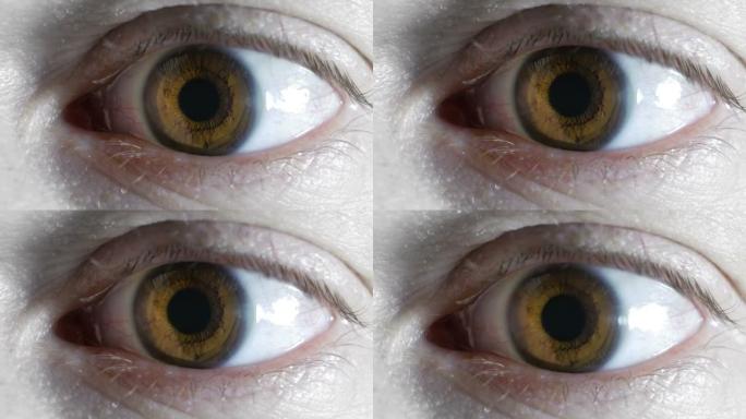 人的眼睛的极端特写视图。混乱地旋转眼球，经常眨眼。人眼的结构。