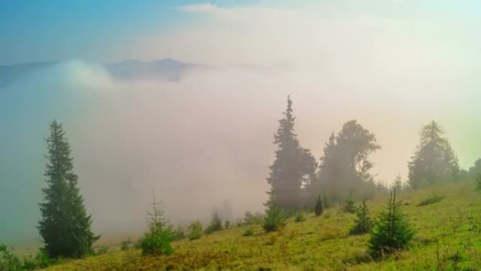 山里朦胧的早晨浓雾云层树木阳光