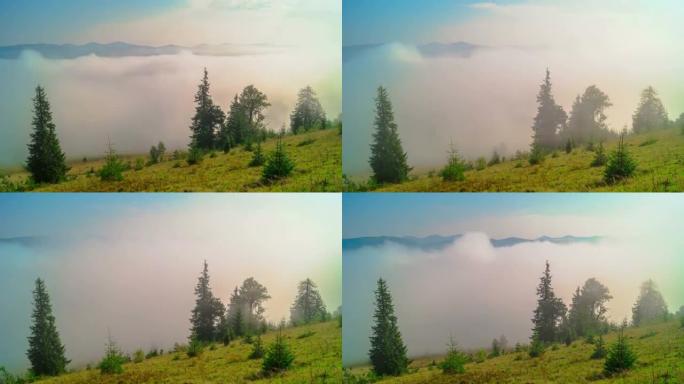 山里朦胧的早晨浓雾云层树木阳光