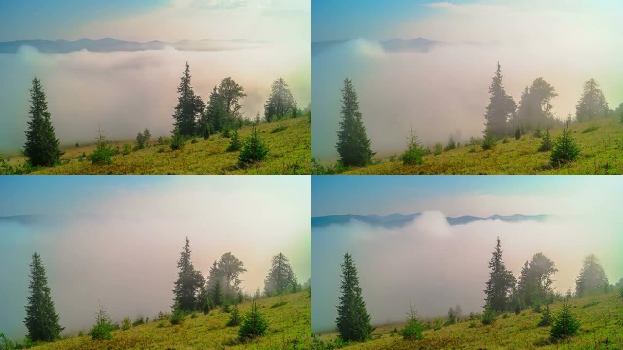山里朦胧的早晨浓雾云层树木阳光
