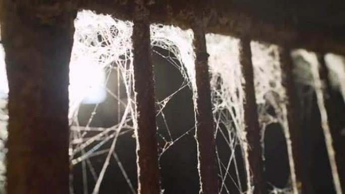废弃的监狱。金属棒上的蜘蛛网。蜘蛛网闪烁。进入废弃监狱的门口。有蜘蛛网的格子。