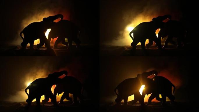 火焰背景上的大象战斗剪影或两只大象公牛在战斗时互动和交流。创意餐桌装饰，彩色背光带雾。选择性聚焦