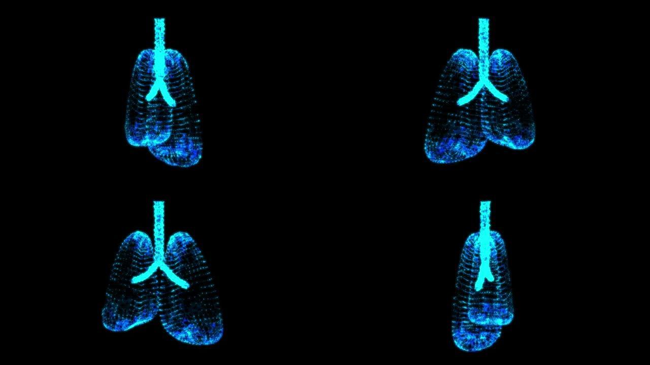 肺有气管支气管内脏的人。肺病学医学科学技术概念。线框低聚网格