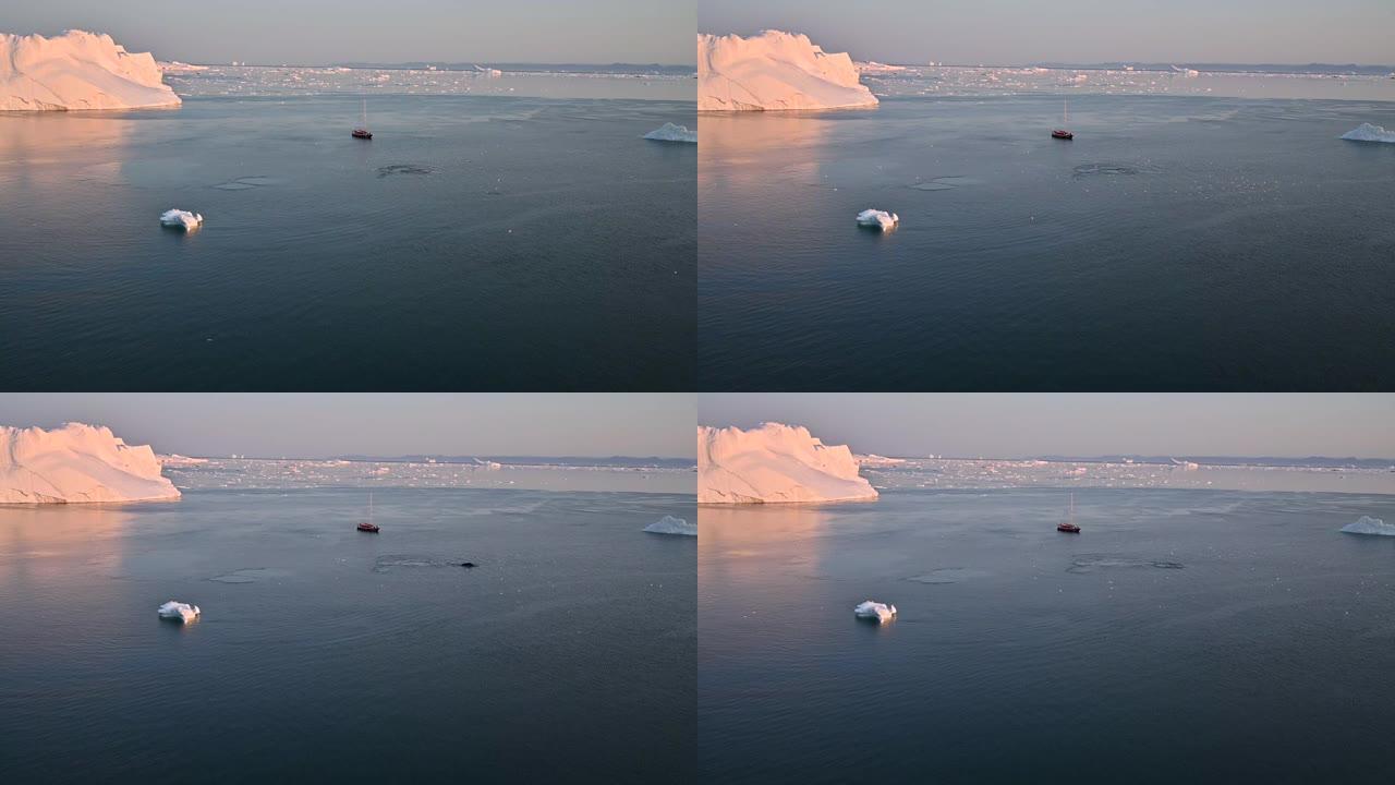 座头鲸弓头鲸浮出水面并吹水蒸气