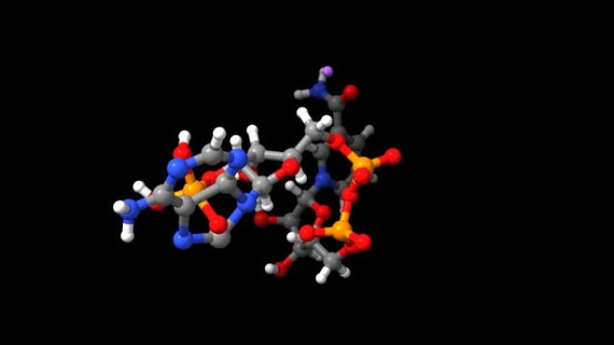 烟酰胺腺嘌呤二核苷酸磷酸 (NADP) 单钠盐的动画骨骼和空间fill 3D模型