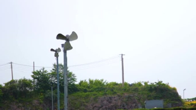 韩国济州岛绿茶场风景