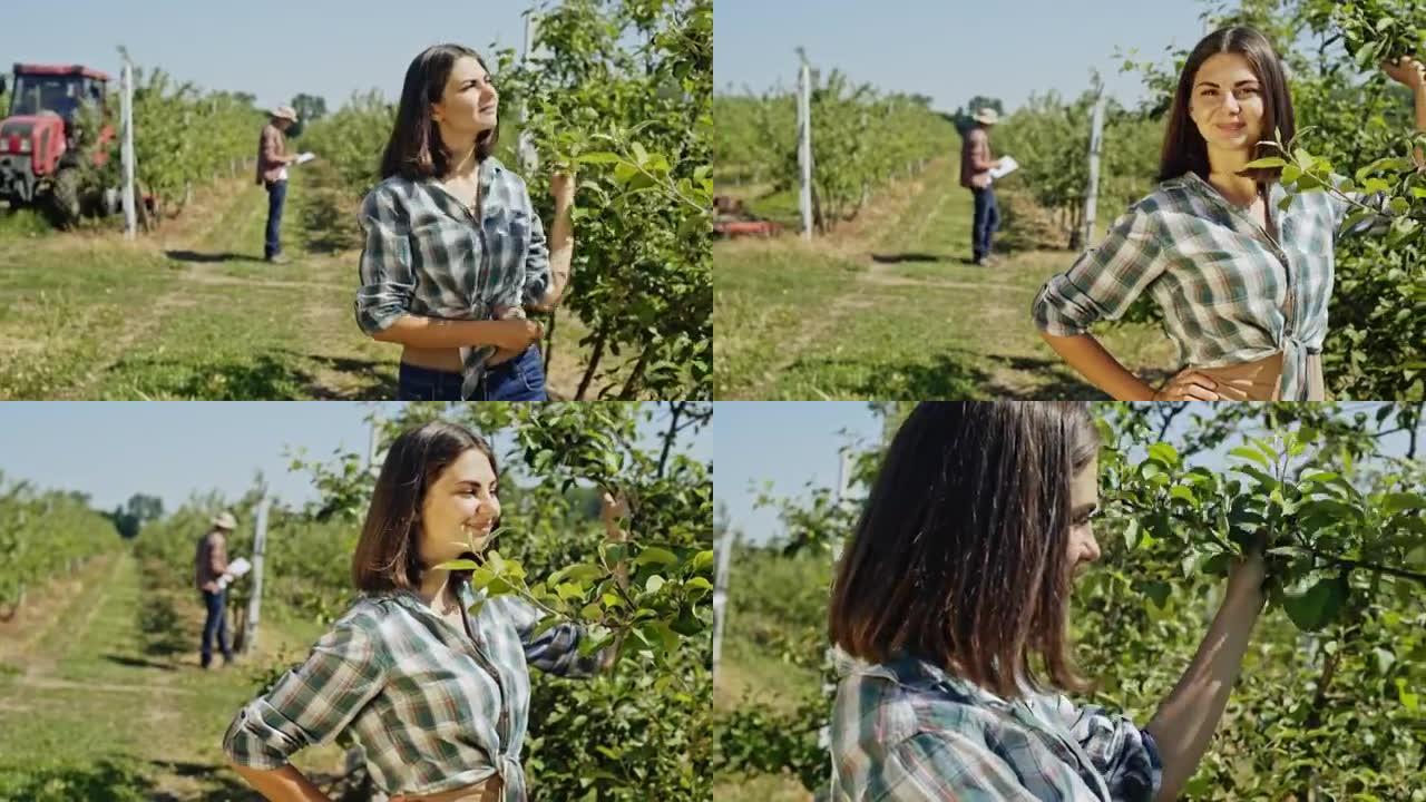 女人带着友好的微笑检查果园里的果树，拖拉机驶过她身后的行