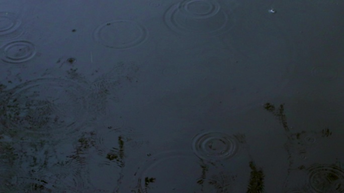 下雨天气雨滴水滴圆形波纹延时