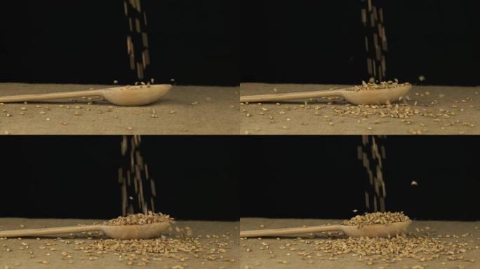 谷物小麦开始落入木勺中并充满。慢动作。勺子躺在粗麻布上