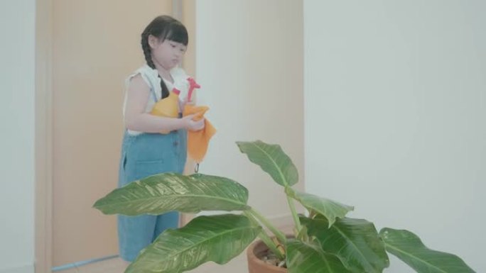 年轻的孩子在家里为室内花园浇水