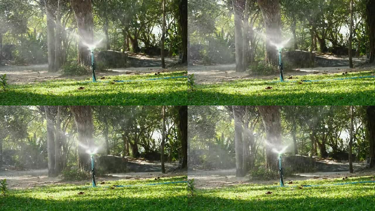 慢动作拍摄，早上在公园用太阳灯浇草，供水概念。