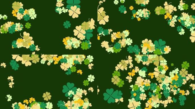 圣帕特里克节三叶草飞行动画。四叶和三叶三叶草。横向构图，4k视频质量