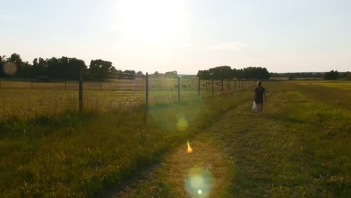 夏天，女孩去大农场喂鹿。日落时的风景。