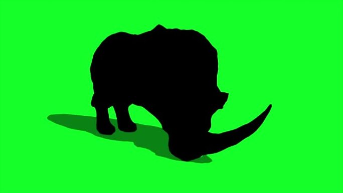 剪影-犀牛闲置和攻击绿色屏幕3D渲染动画动物