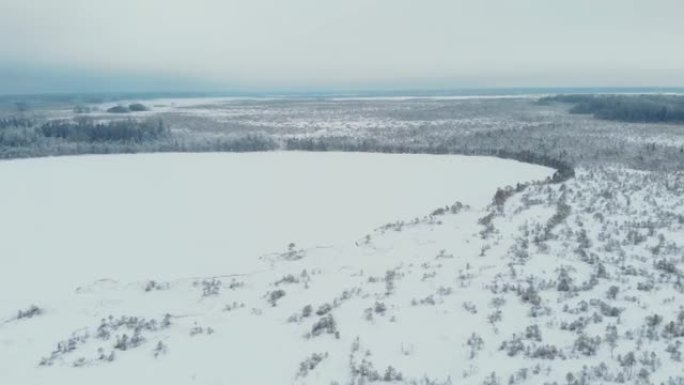 无人机飞过积雪覆盖的针叶林冰冻沼泽，覆盖着冰和雪堆，雪下常绿的树木。冬季的西伯利亚