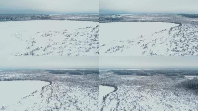 无人机飞过积雪覆盖的针叶林冰冻沼泽，覆盖着冰和雪堆，雪下常绿的树木。冬季的西伯利亚
