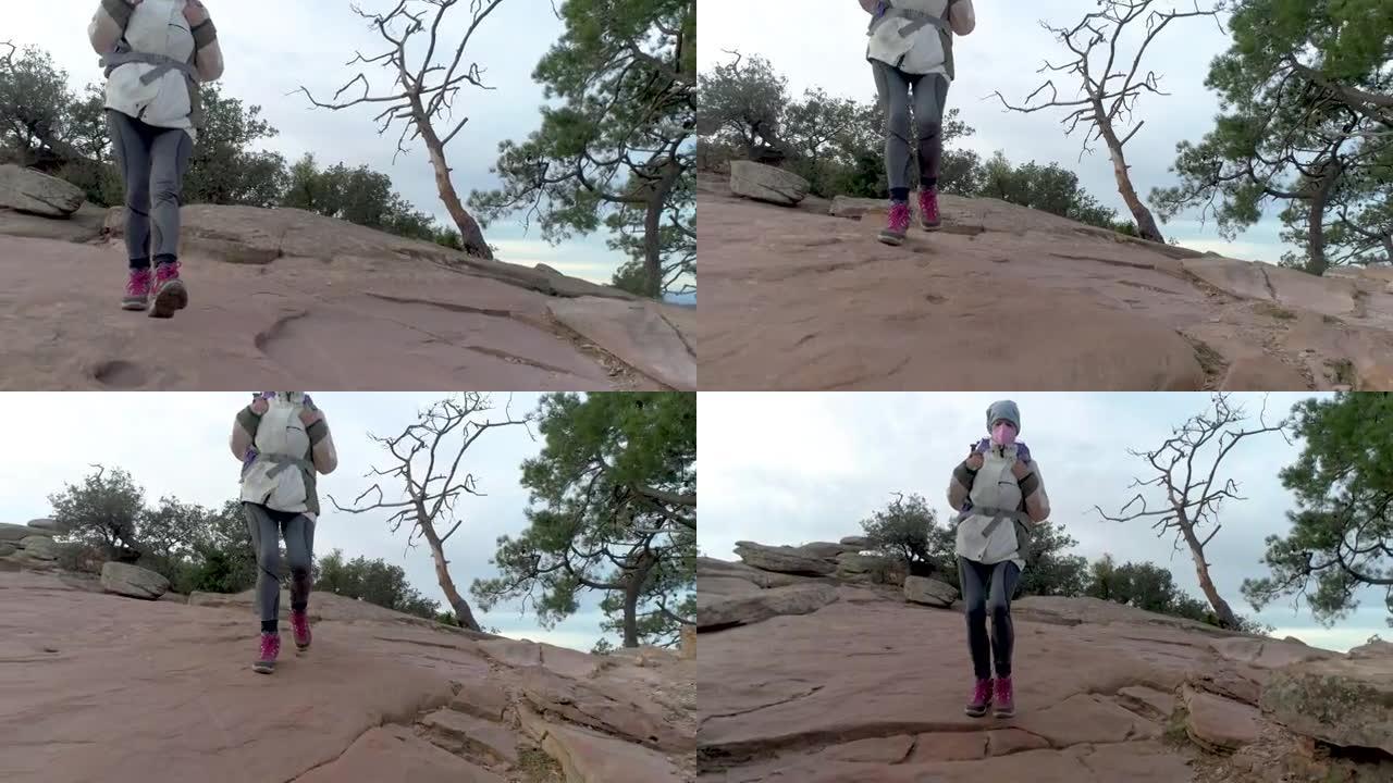 成年妇女用干燥的树下降逗号岩石的前视图